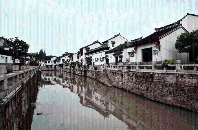 “芯片”赋能 助力肉牛产业发展